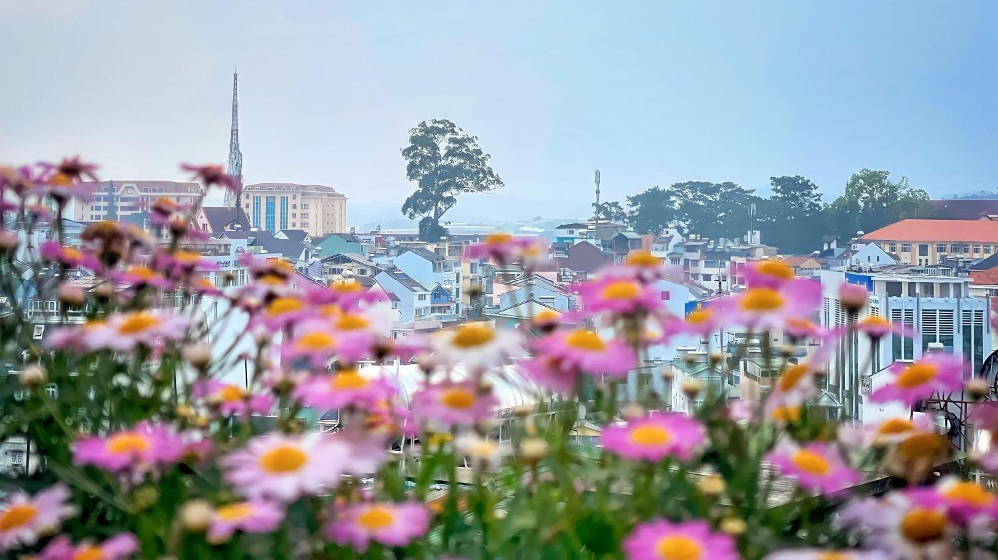 Tuong Vy Dalat Central Buitenkant foto